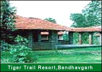 Tiger Trail Resort, Bandhavgarh