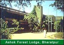 Ashok Forest Lodge, Bharatpur