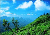 Coonoor - South India Wildlife & Scenic Tour 