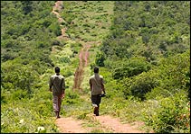 Jungle Walk in Periyar National Park 