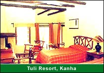 Tuli Resort, Kanha