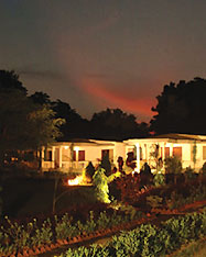 Tiger Den, Bandhavgarh