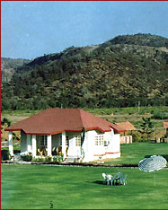 Tiger Den, Ranthambore