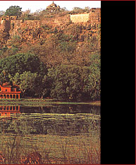 Vanya Vilas Palace,Ranthambore 