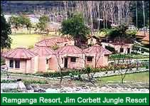 Ramganga Resort - Jim Corbett Jungle Resort