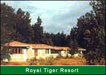 Royal Tiger Resort, Kanha Jungle Resort