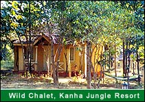 Wild Chalet, Kanha Jungle Resort