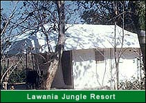 Lawania Jungle Resort, Panna Jungle Resort