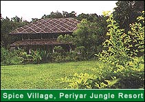 Spice Village, Periyar Jungle Resort