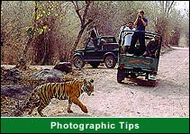 Photographic Safari Tips