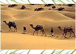 Sand Dunes, Rajasthan