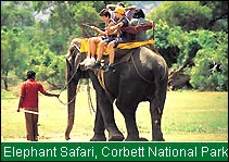 Elephant Safari, Corbett National Park 